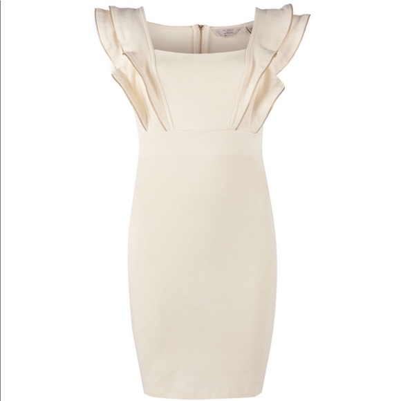 Ted Baker Zipper Dress